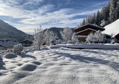 © 2022 Apartment Steinplatte Tirol Aussicht