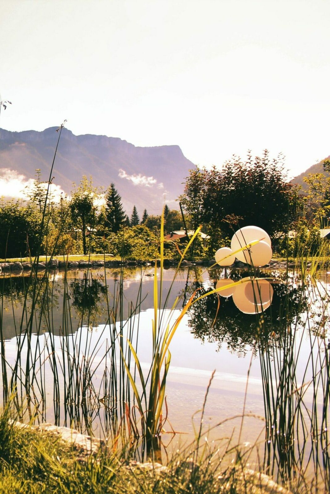 © 2022 Apartment Steinplatte Tirol Naturschwimmteich